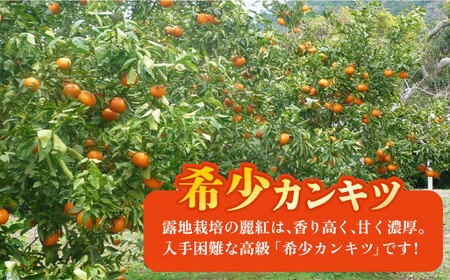 【ご家庭用】麗紅（れいこう）約5kg 長与町/果豊園[ECL014]