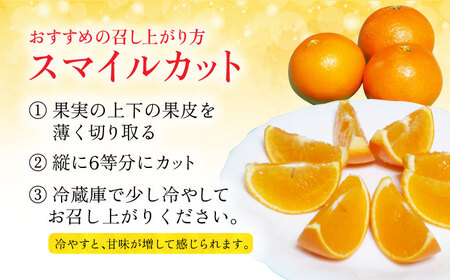 【ご家庭用】天草 （あまくさ） 約5kg 長与町/果豊園[ECL015]