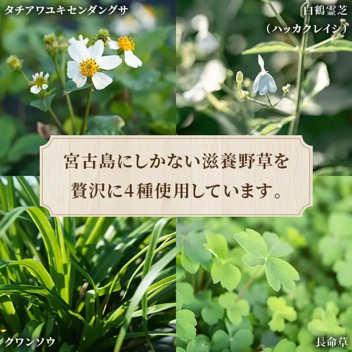 宮古島産4種ハーブ配合 ずみ茶1袋(4.3gx30包)（UM03）