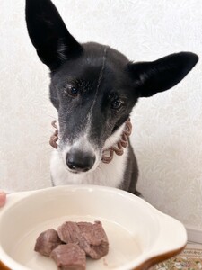 エゾ鹿肉（ペット用）1kg(AO0001)