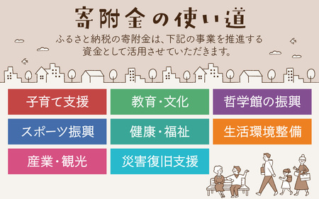 【返礼品なし】石川県 かほく市 応援寄附金 5,000円分 | 支援 純粋寄附