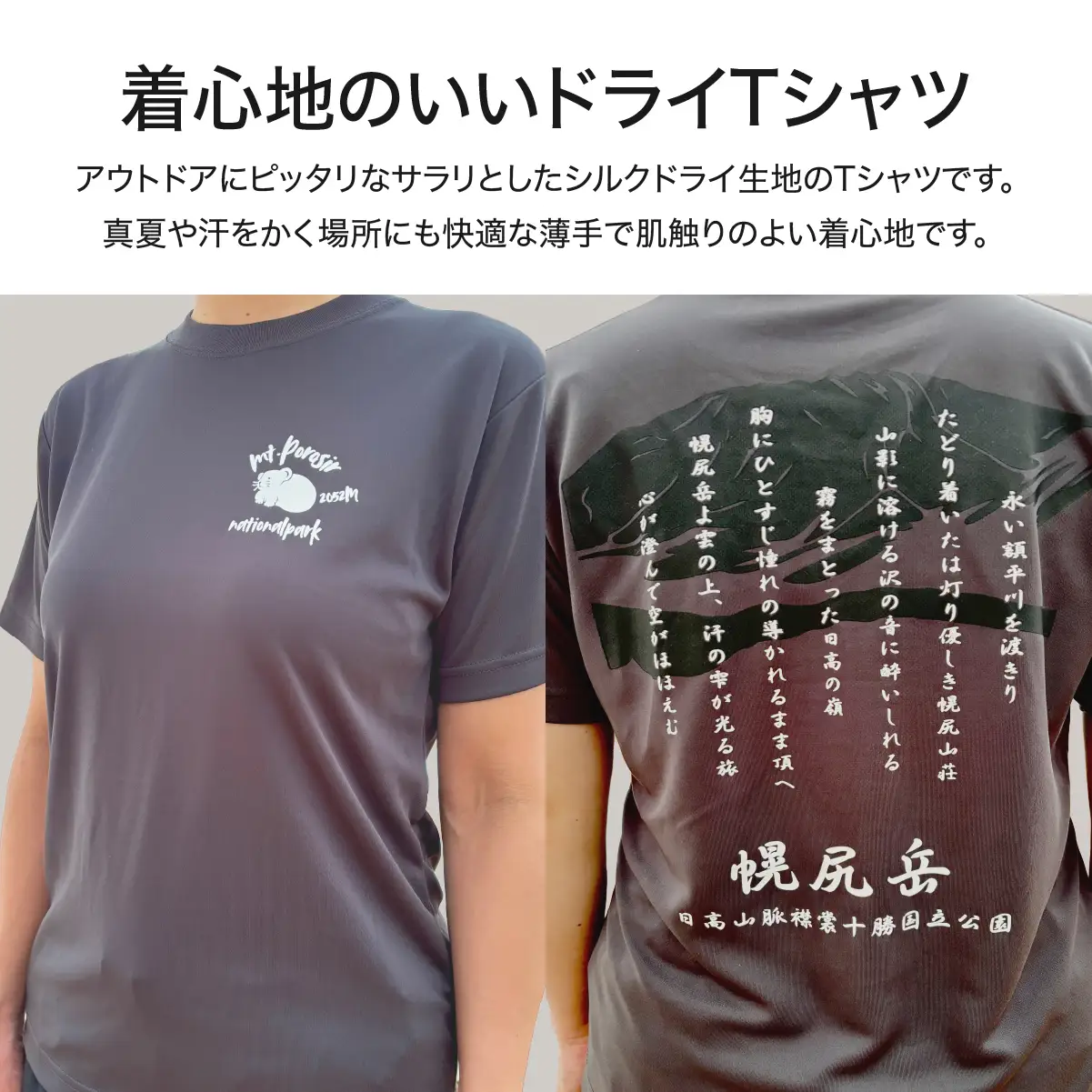 【日本百名山】【2026年限定】幌尻岳記念山詩Tシャツ（グレー Sサイズ） BRTJ040