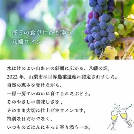 【毎月定期便】山梨 八幡洋酒 白ワイン 赤ワイン 飲み比べ 定期便 ぶどう農家全3回【4082278】
