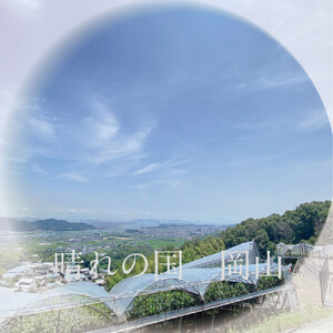 [HS]ぶどう先行予約9月・10月発送シャインマスカット晴王2k箱（3～5房）