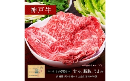 【和牛セレブ】神戸牛 すき焼き ＆ しゃぶしゃぶ セット（ 肩ロース ）約250g 牛肉 肉 牛 神戸ビーフ 冷凍 にく ニク ロース