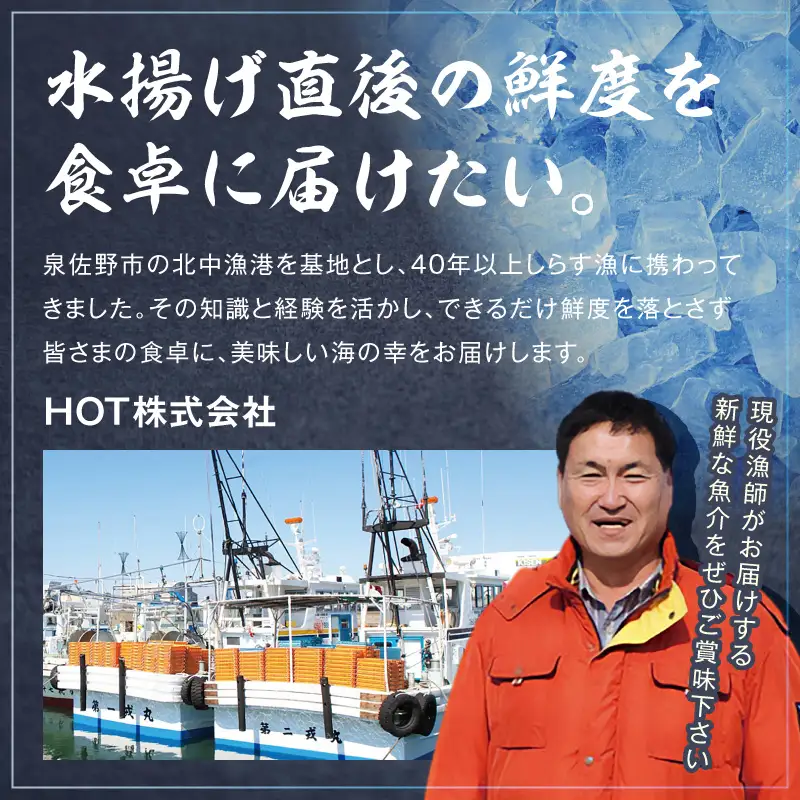  【訳あり】サーモン カマ 600g（約10-12切れ）