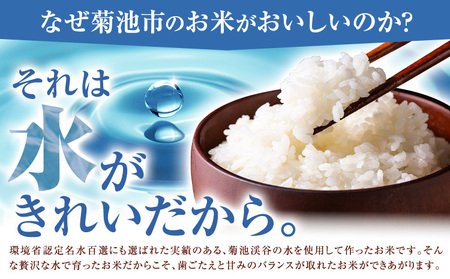 第13回 菊池米食味コンクール 個人総合部門 入賞米 ひのひかり 精米 5kg 七城町特産品センター《30日以内に出荷予定(土日祝除く)》熊本県 菊池市 米 こめ ヒノヒカリ お米 ブランド米 単一原料米 菊池