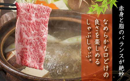 【国産黒毛和牛】ロースしゃぶしゃぶ・すき焼き用1kg(500g×2)_AD-E9-001_(都城市) 国産黒毛和牛しゃぶしゃぶ ロース 冷凍配送