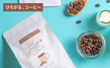MOLE / おどれ、グラノーラ ＆ ひろがる、コーヒーセット (中挽) 詰め合わせ 焼き菓子 コーヒー豆 粉 深煎り ギフト 沖縄市 / みやんち STUDIO＆amp;COFFEE[BCCX024-02]