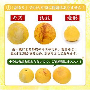 ＜先行予約受付中！2027年2月下旬以降順次発送予定＞訳あり！まなべみかん園のサワーポメロ (約9.5kg) 国産 鹿児島県産 阿久根市産 柑橘類 みかん ミカン 蜜柑 果物 フルーツ サワーポメロ 数量限定 デザート 訳アリ 【有限会社まなべみかん園】akn034-08