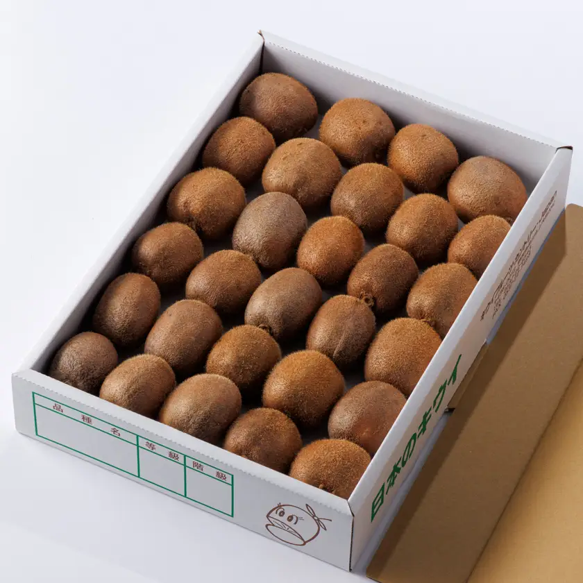 農園直送!訳アリキウイフルーツ2kg～2.4kg(24個～30個)【配送不可地域：離島・北海道・沖縄県・四国・九州】【1705165】