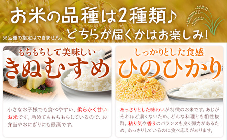 米 3kg おかもち(木工品) セット  ありがとう園《30日以内に出荷予定(土日祝除く)》