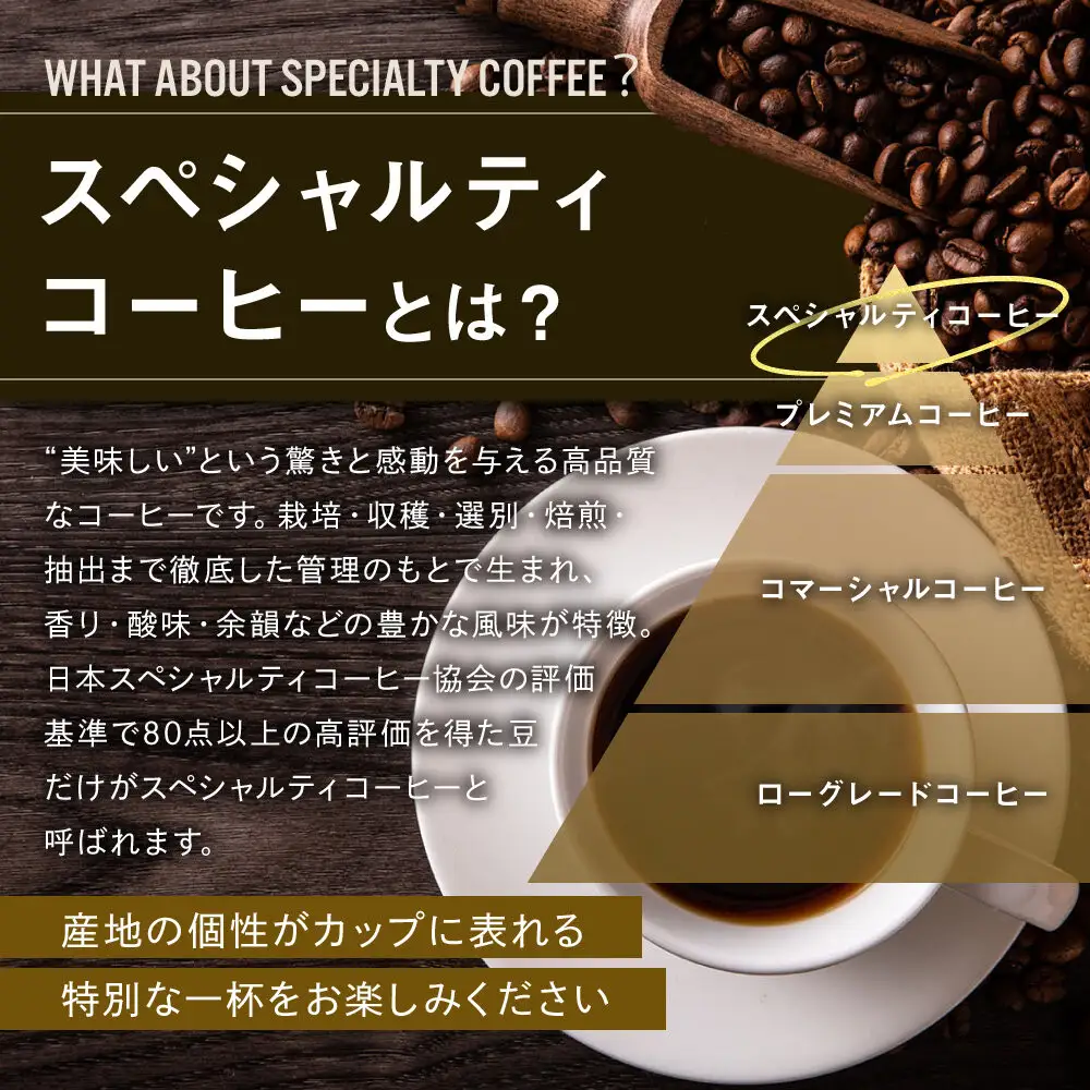 【AMANO COFFEE ROASTERS】スペシャリティコーヒー 上賀茂ブレンド100g 今宮ブレンド100g＜豆タイプ＞｜京都 コーヒー 人気ブランド