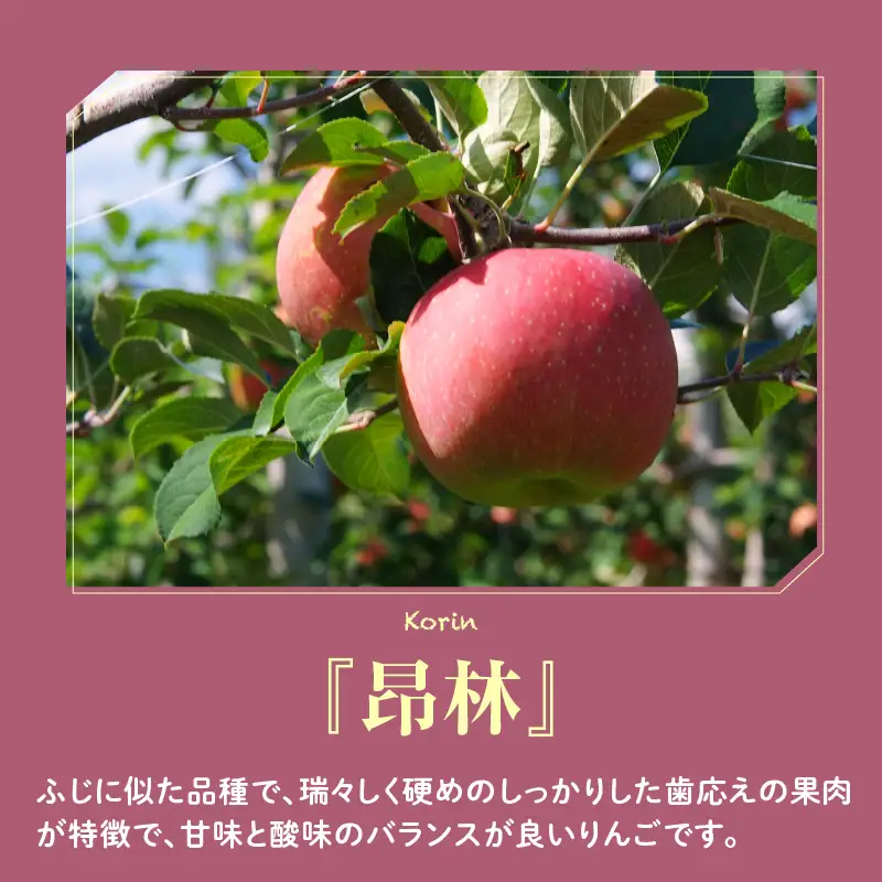 先行予約 令和8年産 りんご 品種お任せ 秀品 約2kg りんご