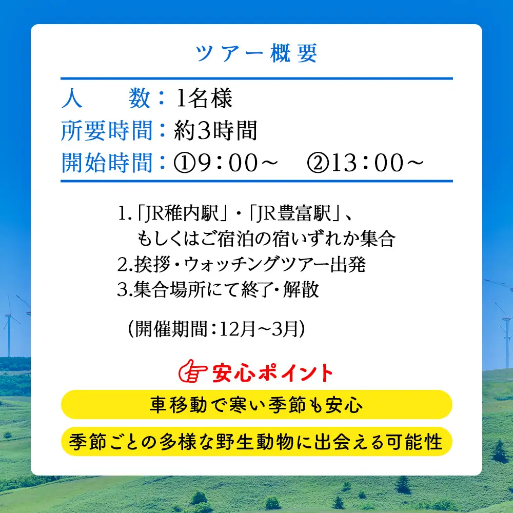 ワシ、シカ、アザラシ！最北のアニマルウォッチングツアー1名様