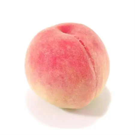 【発送月固定定期便】山梨旬の味覚定期便【桃 約2kg/2色葡萄 1kg以上】全2回【配送不可地域：離島】【4082866】