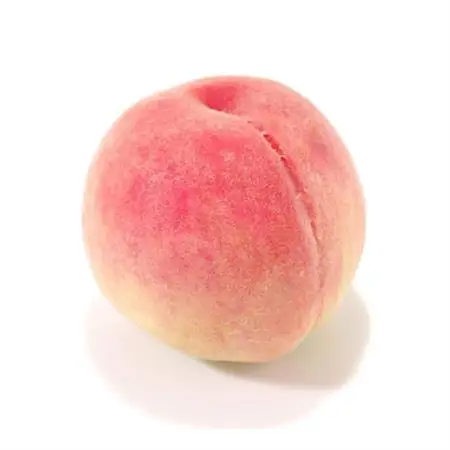 【発送月固定定期便】山梨旬の味覚定期便【桃 約1kg/2色葡萄 1kg以上】全2回【配送不可地域：離島】【4082867】