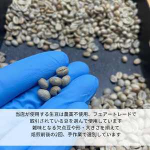 コーヒー ドリップバッグ 2種セット 10袋 農薬不使用 自家焙煎 おすすめ 2種 焙煎豆 セット フェアトレードコーヒー オーガニック 有機栽培 珈琲 コーヒー豆 ドリップコーヒー ドリップパッグ フェアトレード 無農薬 厳選 母の日 父の日 贈り物 プレゼント ギフト 贈答 Ouchicoffee 新潟県 新発田市 ouchi002