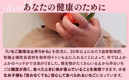 栃木のいちご 3種 食べ比べセット | とちおとめ とちあいか ミルキーベリー イチゴ 苺 栃木県 果物 フルーツ 栃木県 壬生町 産地直送 ※2027年1月～発送