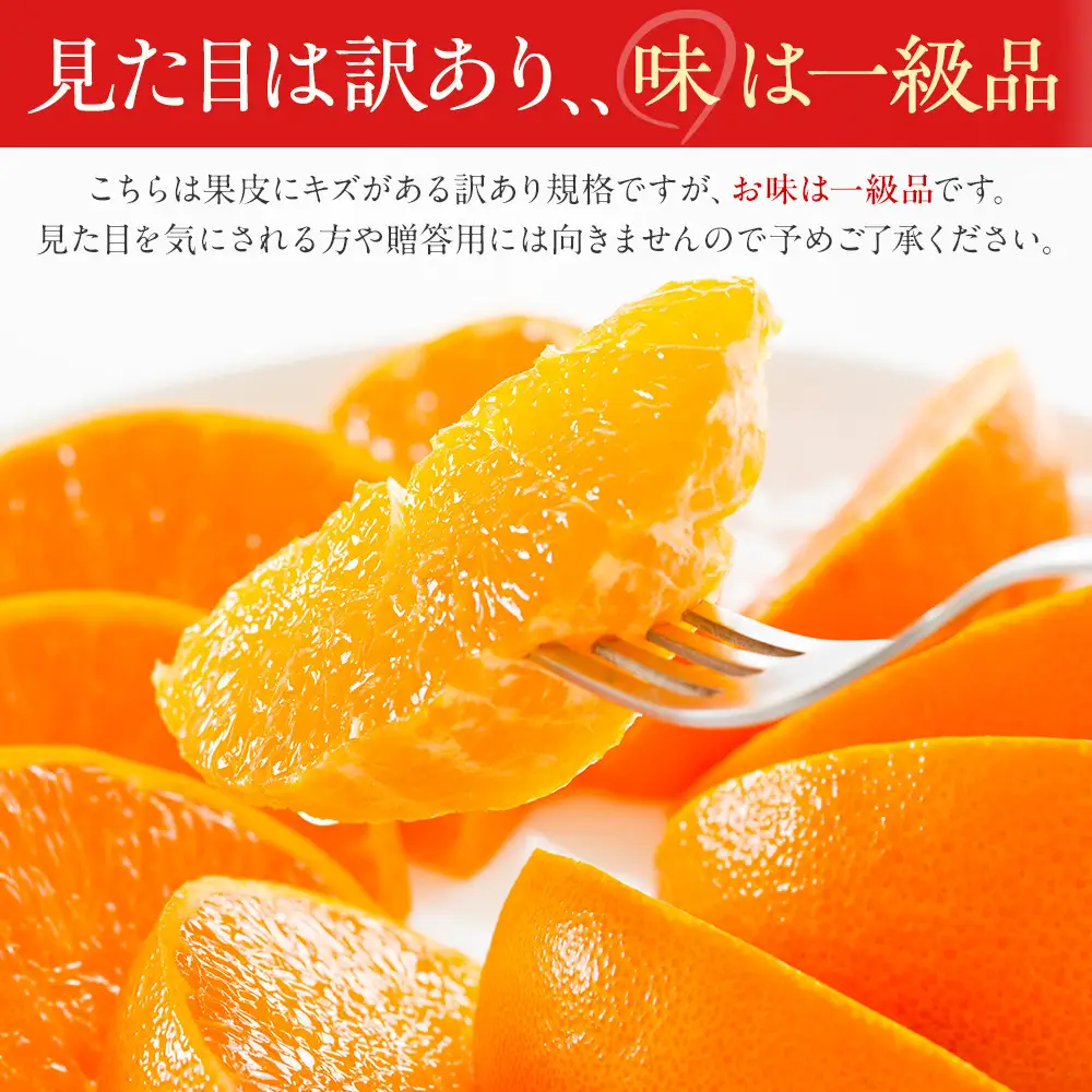 訳あり せとか 2.5kg M～2Lサイズおまかせ 高石垣ファーム