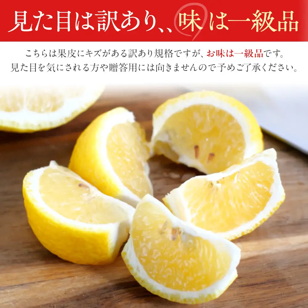 訳あり はるか 2.5kg M～2Lサイズおまかせ 高石垣ファーム