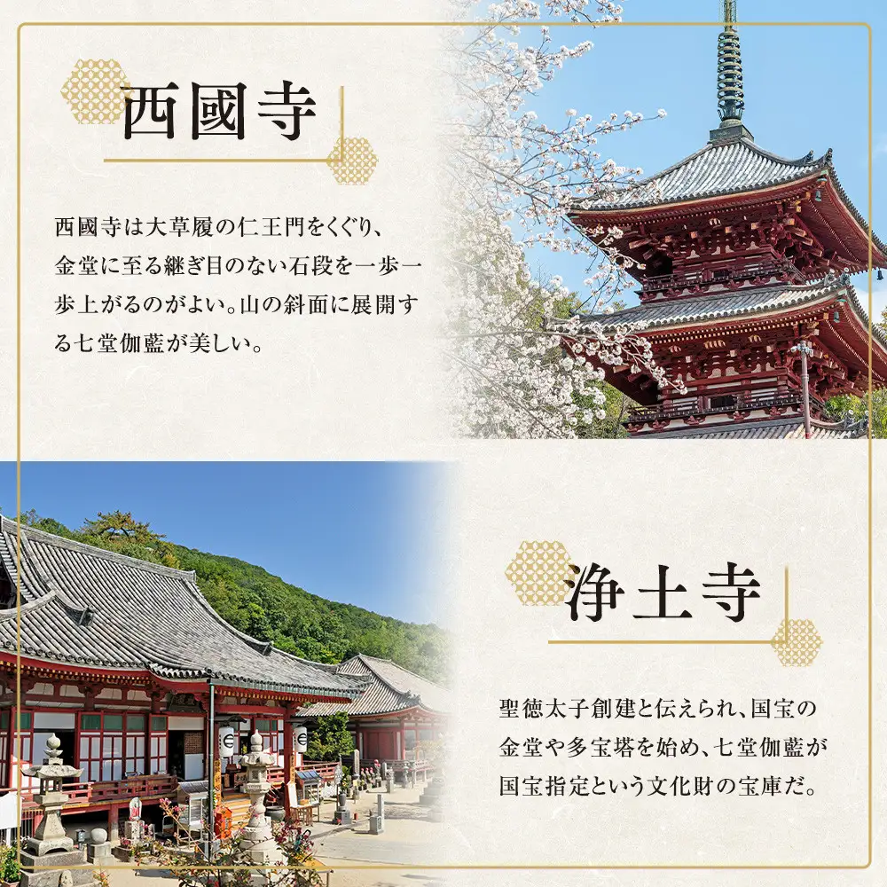 尾道観光尾道三山コース2時間半
