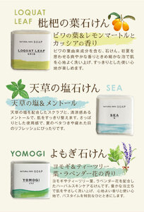 石けん 季節の石けんギフト 爽やか 45g × 3個  石けん工房アンティーまさ《30日以内出荷(土日祝除く)》熊本県 菊池市 石けん せっけん 石鹸 シーズンセレクト ギフト 贈り物