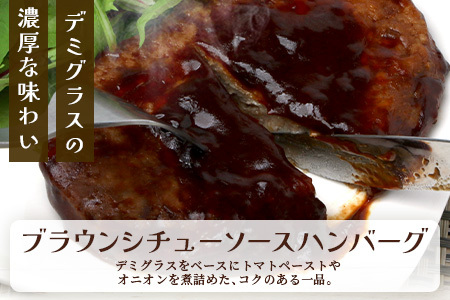 レンチン ハンバーグ ≪トマトソース・ブラウンシチューソース≫ 合計10個 067-0708
