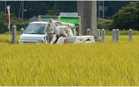 【令和7年産・皇室献上米生産農家産】井田酵素米 きぬむすめ 5kg