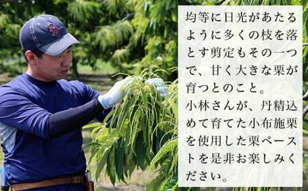  自家農園100％小布施栗マロンペースト 160g × 2 ［ おぶせファーマーズ ］長野県 信州 小布施町 お取り寄せ［FH-87］