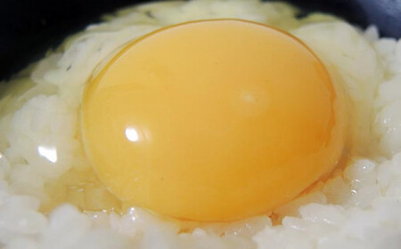 【思いやり型返礼品】 平飼い おぶせのたまご 40個 ［くりのみ園］［A-22］