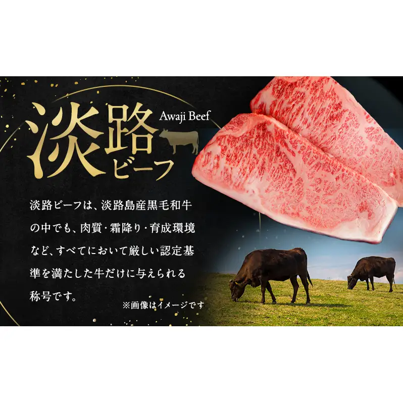 淡路ビーフ サーロイン ステーキ 500g（ 250g × 2枚 ） 淡路島産 淡路牛 黒毛和牛 牛肉 焼肉 肉 霜降り 冷凍 バーベキュー アウトドア ギフト 記念日 誕生日 淡路島 洲本市