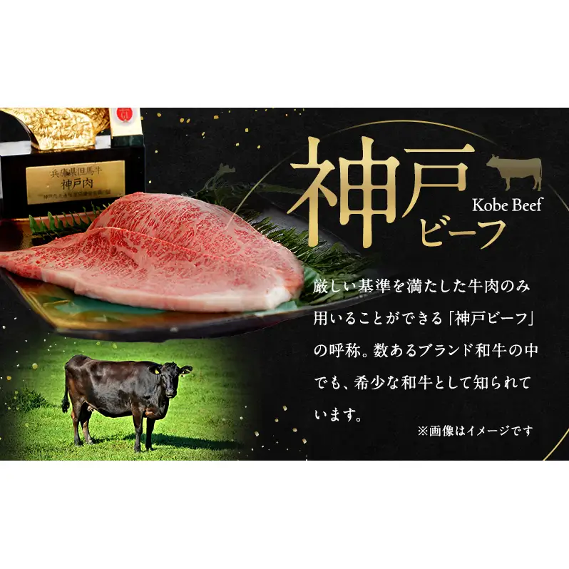 神戸ビーフ サーロイン ステーキ 500g（250g × 2枚 ） 淡路島産 神戸牛 黒毛和牛 牛肉 焼肉 肉 霜降り 冷凍 バーベキュー アウトドア ギフト 記念日 誕生日 淡路島 洲本市
