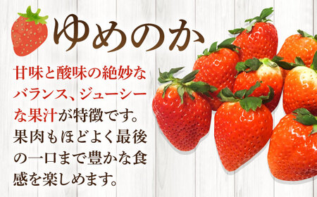 【先行予約】【ジャム用】ゆめのか 1kg 【2027年1月以降順次発送】[JEM007] いちご 苺