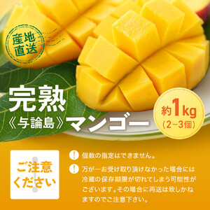 「2026夏発送」★厳選★ 完熟 与論島マンゴー １kg（2～3個）【数量限定】【産地直送】【先行予約】