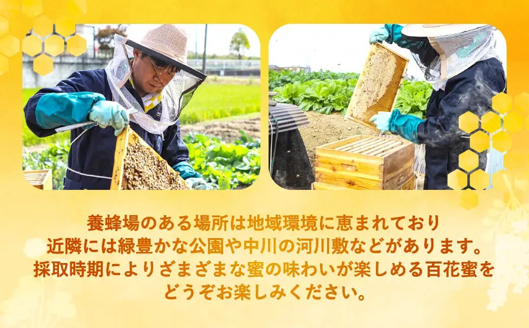 草加産はちみつ2瓶 (約280グラム) 矢部養蜂場の国産天然ハチミツ | はちみつ ハチミツ 非加熱 矢部養蜂園 国産 埼玉県 草加市