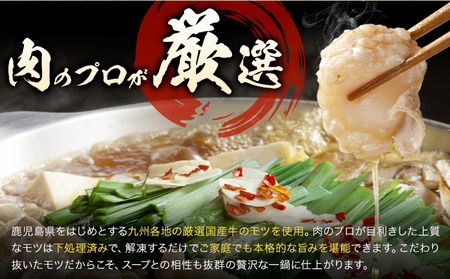 もつ鍋 セット 薬味付き ちゃんぽん麵 兆や 2～3人前 醤油味 地域商社ふるさぽ《90日以内に出荷予定(土日祝除く)》福岡県 鞍手郡 鞍手町 もつ 鍋 牛モツ