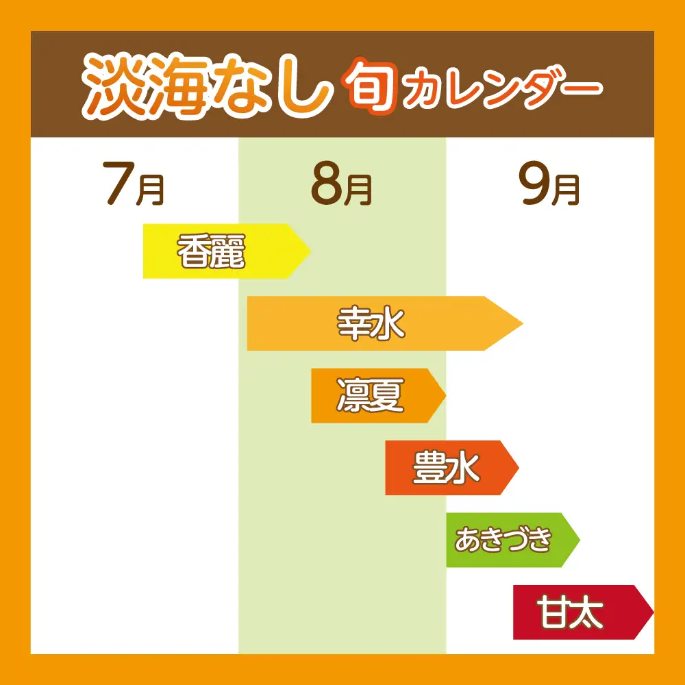 【先行予約】【数量限定】淡海なし　幸水　3㎏箱入り（サイズ：2L～7L　5～10個入り）【K127W】 スイーツ 果物