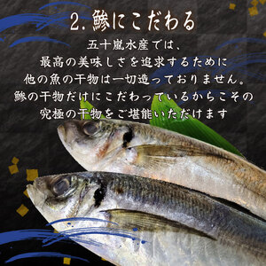 真あじ 干物 6枚  「匠」 真アジ