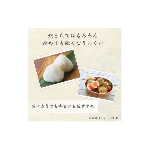 令和7年産 ふさこがね 精米 10kg （ 5kg × 2 ）千葉県 匝瑳市 ／ 米 こめ コメ お米 ごはん ご飯 精米 白米 10kg 5kg ふさこがね 令和7年産 JA 農協 ちばみどり ちばみどり農業協同組合 千葉県 匝瑳市 送料無料