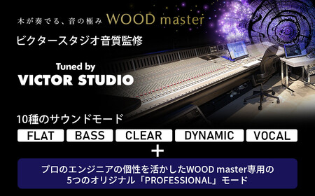 【サンバーストブラウン】Victor ワイヤレスイヤホン HA-FW5000T 木の振動板 WOODシリーズ AJZ0015VC01