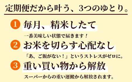 【定期便6回】 聖米(玄米) 10kg（5kg×2）×6回 | 米 お米 こしひかり 玄米