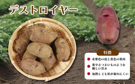 先行予約 じゃがいも 約5kg ニシユタカ デストロイヤー 【5月中旬～9月末頃発送予定】