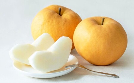 備前横綱梨 （あたご梨） 超大玉 2玉 約1kg～1.4kg 贈答箱 ／ 愛宕梨 梨 なし ナシ 果物  【2026年11月下旬～12月下旬発送予定】
