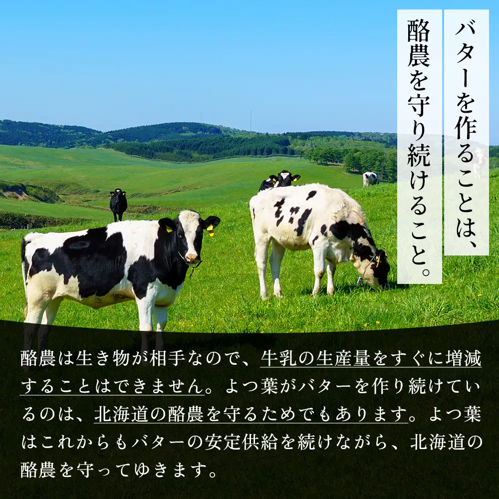 よつ葉 加塩 バター 150g×10個 北海道 乳製品 国産バター 有塩バター カルトンバター