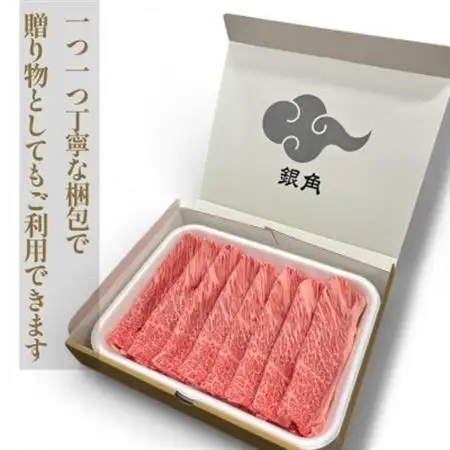 【毎月定期便】飛騨牛【白銀ロース】すき焼き・しゃぶしゃぶ用500g全3回【配送不可地域：離島】【4083283】