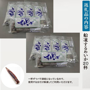 【復興支援】船凍するめいか 約4kg 20杯 ( 2杯 × 10袋 )小分け 個包装 刺し身 海産物 魚介類 獲れたて 急速冷凍 新鮮 刺身 さしみ 烏賊 人気 おすすめ ご当地グルメ カルパッチョ パスタ いかめし 煮物