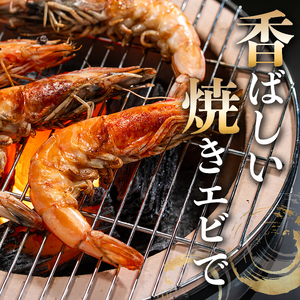 薩摩橙王エビ(4尾入×2パック) 国産 鹿児島県産 阿久根市産 えび 海老 魚貝類 魚介類 海産物 養殖 冷凍 期間限定 数量限定 焼き海老 焼きエビ バナメイエビ シロアシエビ 生食可 【リージョナルフィッシュ株式会社】akn105-01