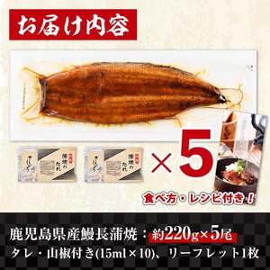 i1078-C-f 【父の日ギフト】＼特大サイズ／鹿児島県産 うなぎ蒲焼 5尾（約220g×5・計約1100g） たれ 山椒付きうなぎ 鰻 ウナギ 特大 特大サイズ 約220g 蒲焼き 国産 鹿児島県産 焼きたて 生産量日本一 真空パック おかず 晩御飯 特別な日 贈答 ギフト プレゼント 父の日 【薩摩川内鰻】