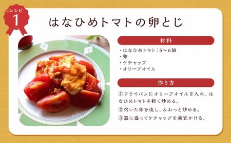 【 7月～11月発送不可 】 ミディトマト はなひめ 1kg とまと トマト 野菜 やさい フルティカ オリジナルブランド 国産 福岡県産